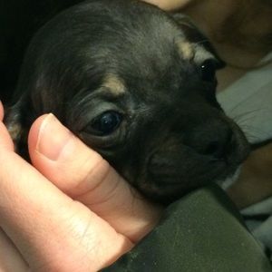 Meet your Posher, Jon